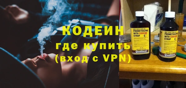 молекула духа Козловка