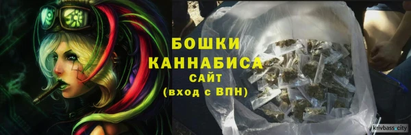молекула духа Козловка