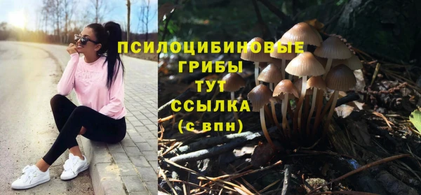 гидропоника Козельск