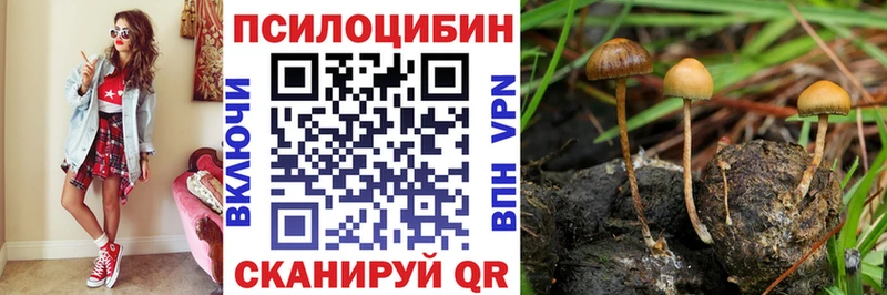 Псилоцибиновые грибы GOLDEN TEACHER  Купить закладки  Верхняя Тура 